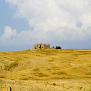 免费看外国人操逼
